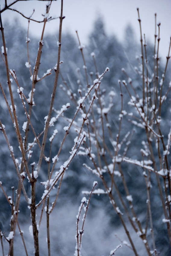 吹雪吹き溜まり、されど来てくださるお客様　めまいと頭痛は？